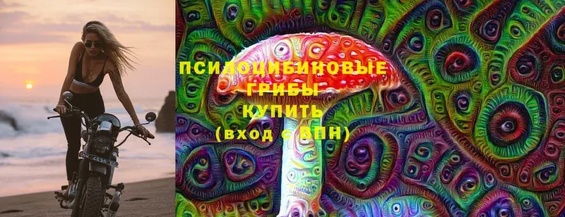 Галлюциногенные грибы Cubensis Алексин